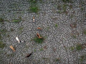 2.897 Hektare Sawah di Banten Terdampak Kekeringan