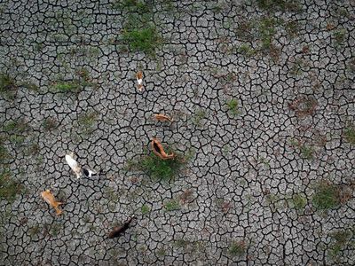 2.897 Hektare Sawah di Banten Terdampak Kekeringan