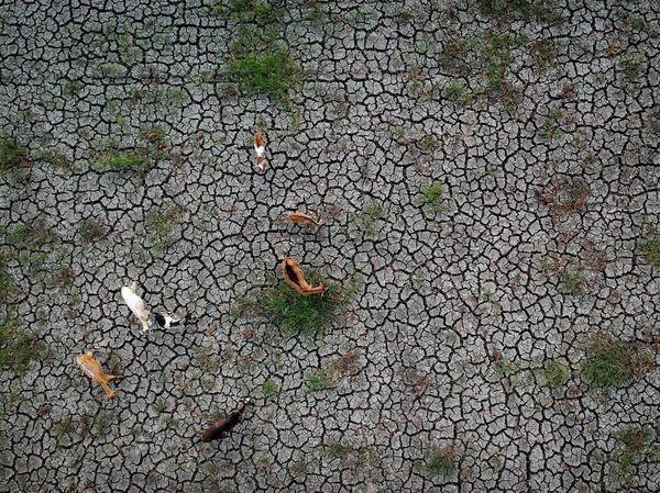 2.897 Hektare Sawah di Banten Terdampak Kekeringan