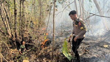 Kebakaran Hutan Perhutani di Wonosobo Sudah 3 Hari Belum Padam