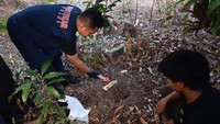 Heboh Janin Bayi Ditemukan Terkubur di Pekarangan Rumah Warga Lampung