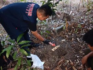 Heboh Janin Bayi Ditemukan Terkubur di Pekarangan Rumah Warga Lampung