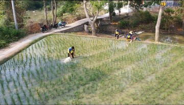 KemenPU Terjunkan 10 Pompa untuk Cegah Kekeringan Sawah di Karawang