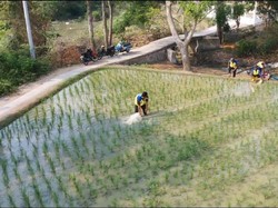 KemenPU Terjunkan 10 Pompa untuk Cegah Kekeringan Sawah di Karawang