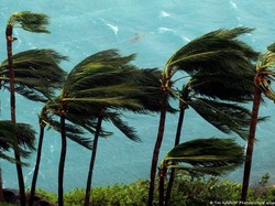 Bagaimana El Nino Pengaruhi Siklon Tropis dan Hurikan di Seluruh Dunia?