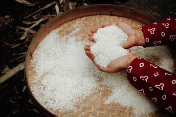 Praktis! 6 Tips Simpan Beras agar Tak Mudah Berkutu