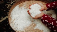Praktis! 6 Tips Simpan Beras agar Tak Mudah Berkutu
