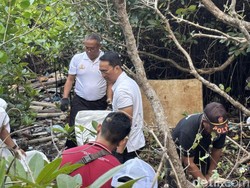 Ratusan Orang Bersih-bersih Sampah di Hutan Mangrove Tahura Ngurah Rai