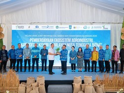 Kemenkeu Optimalisasi Peran SMV Dorong Kemiri NTB Tembus Pasar Global