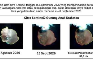 Anak Krakatau Meluas Hingga 32,8 Hektar Usai Erupsi 224 Kali