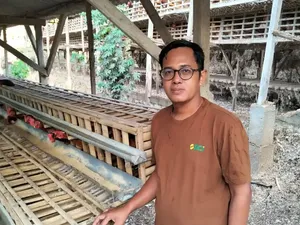 Perjalanan Rohmat, Dari Lulusan FKM Jadi Peternak dengan Omzet Rp 250 Juta