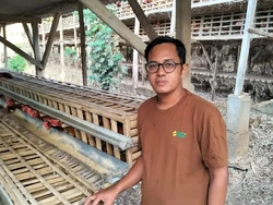 Perjalanan Rohmat, Dari Lulusan FKM Jadi Peternak dengan Omzet Rp 250 Juta