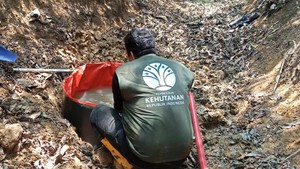 Banyak Satwa Dehidrasi Saat Kemarau, BKSDA Kaltim Buat 4 Kubangan untuk Minum