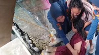 Video: Evakuasi Buaya Berlangsung Haru, Pemilik Menangis dan Pingsan