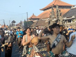 Keseruan Turis Asing Ikut Perang Tipat Bantal di Badung Bali
