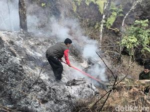 Karhutla Tak Kunjung Padam, 977,74 Hektare TN Gunung Rinjani Terdampak