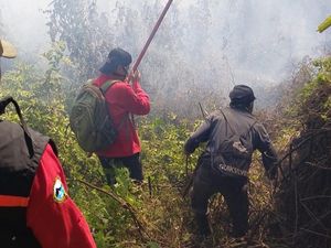 Karhutla Meluas, Jalur Pendakian Gunung Rinjani via Senaru Ditutup