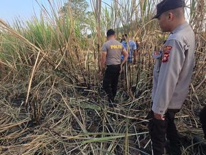 Misteri Wanita Sisa Kerangka di Kebun Tebu Boalemo Diduga Dibunuh