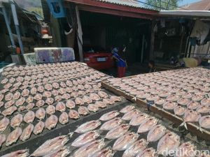 Berkah Kemarau, Produsen Ikan Asin di Polman Banjir Produksi