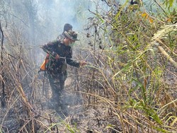 3 Hari Water Bombing, Karhutla Way Kambas Belum Juga Padam