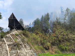 Karhutla di Mamasa Nyaris Hanguskan Situs Makam Tedong-Tedong