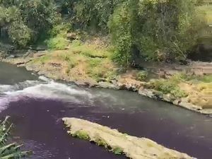 Heboh Sungai Brantas Malang Berubah Warna Ungu Gelap, DLH Buka Suara