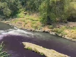 Air Sungai Brantas Malang Berubah Warna Jadi Ungu Gelap
