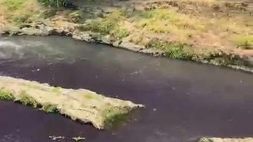 Fakta-fakta Air Sungai Brantas Malang Berubah Jadi Ungu Gelap