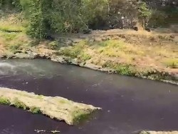 Fakta-fakta Air Sungai Brantas Malang Berubah Jadi Ungu Gelap