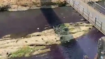 Kata Jasa Tirta Soal Air Sungai Brantas Malang Jadi Ungu Gelap