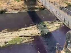 Kata Jasa Tirta Soal Air Sungai Brantas Malang Jadi Ungu Gelap