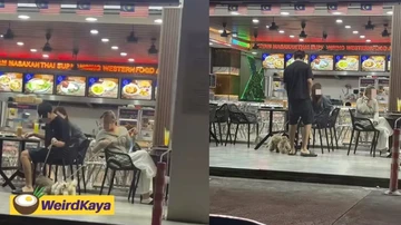 The Art of Baking: From Classic Bread to Artisan Pastries