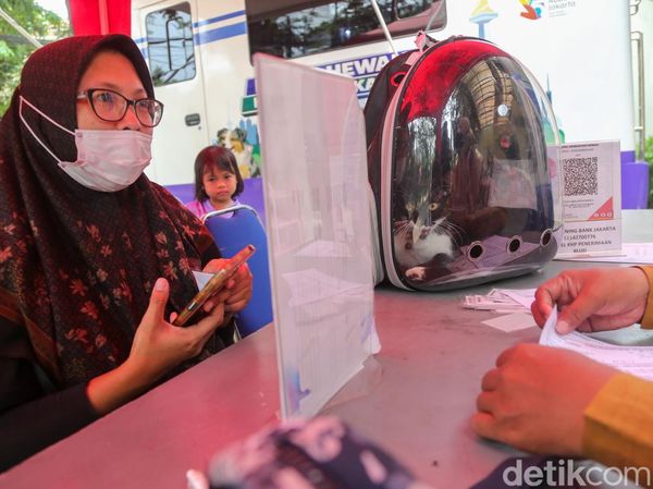 Jemput Bola, Anabul Warga Dicek Kesehatan di Klinik Keliling