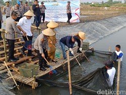 Tambak Ikan dan Udang di Muara Gembong Dukung Rantai Pasok SPPG Polda Metro