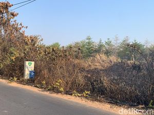 Kebakaran Lahan di Nipa-nipa Makassar, Asap Sempat Tutupi Jalan
