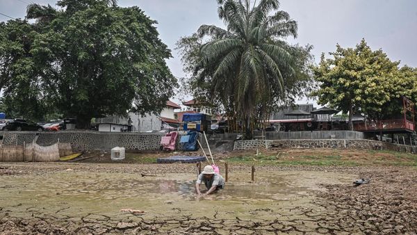 Kekeringan Dampak El Nino Diprediksi Segera Berakhir