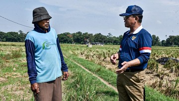 Utusan Khusus Presiden Puji Peran Petani Jaga Ketahanan Pangan RI