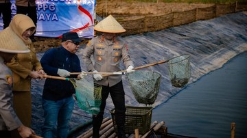 Dukung Ketahanan Pangan, Polda Metro Panen 10 Ton Ikan-Udang di Muara Gembong