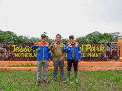 Rehabilitasi DAS 772 Hektare di TN Tesso Nilo, PT BSP Dukung Keberlanjutan