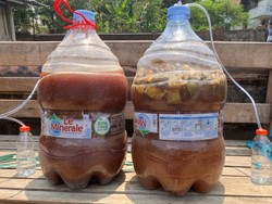 Universitas Brawijaya Kembangkan Eceng Gondok Jadi Probiotik untuk Budi Daya Ikan