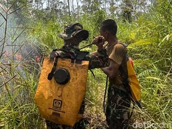 Karhutla di Way Kambas, BPBD Lampung Jajaki Operasi Modifikasi Cuaca