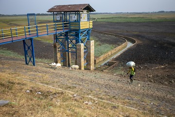 Waduk Cipancuh Mengering, Irigasi Sawah di 5 Kecamatan Terdampak
