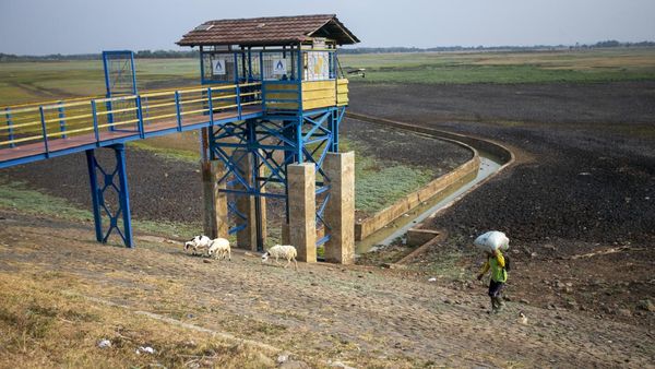 Waduk Cipancuh Mengering, Irigasi Sawah di 5 Kecamatan Terdampak