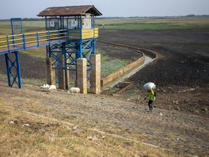 Waduk Cipancuh Mengering, Irigasi Sawah di 5 Kecamatan Terdampak