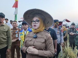 Panen Raya, Pemkot Kendari Perkuat Dukungan Sektor Pertanian