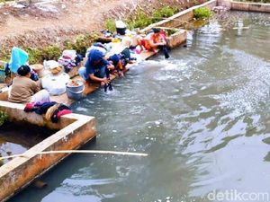 Saat Kolam Ikan Jadi Tumpuan Warga Ciamis di Tengah Kekeringan
