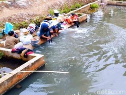 Saat Kolam Ikan Jadi Tumpuan Warga Ciamis di Tengah Kekeringan