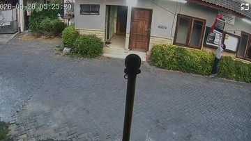 Viral Maling Burung Cucak Hijau Seharga Rp 7 Juta di Surabaya