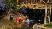Banjir Kepung Bangkok, 6 Rusa di Taman Hiburan Tak Bisa Terselamatkan