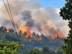 Karhutla di Kaki Gunung Klabat Sudah 11 Hari Belum Padam